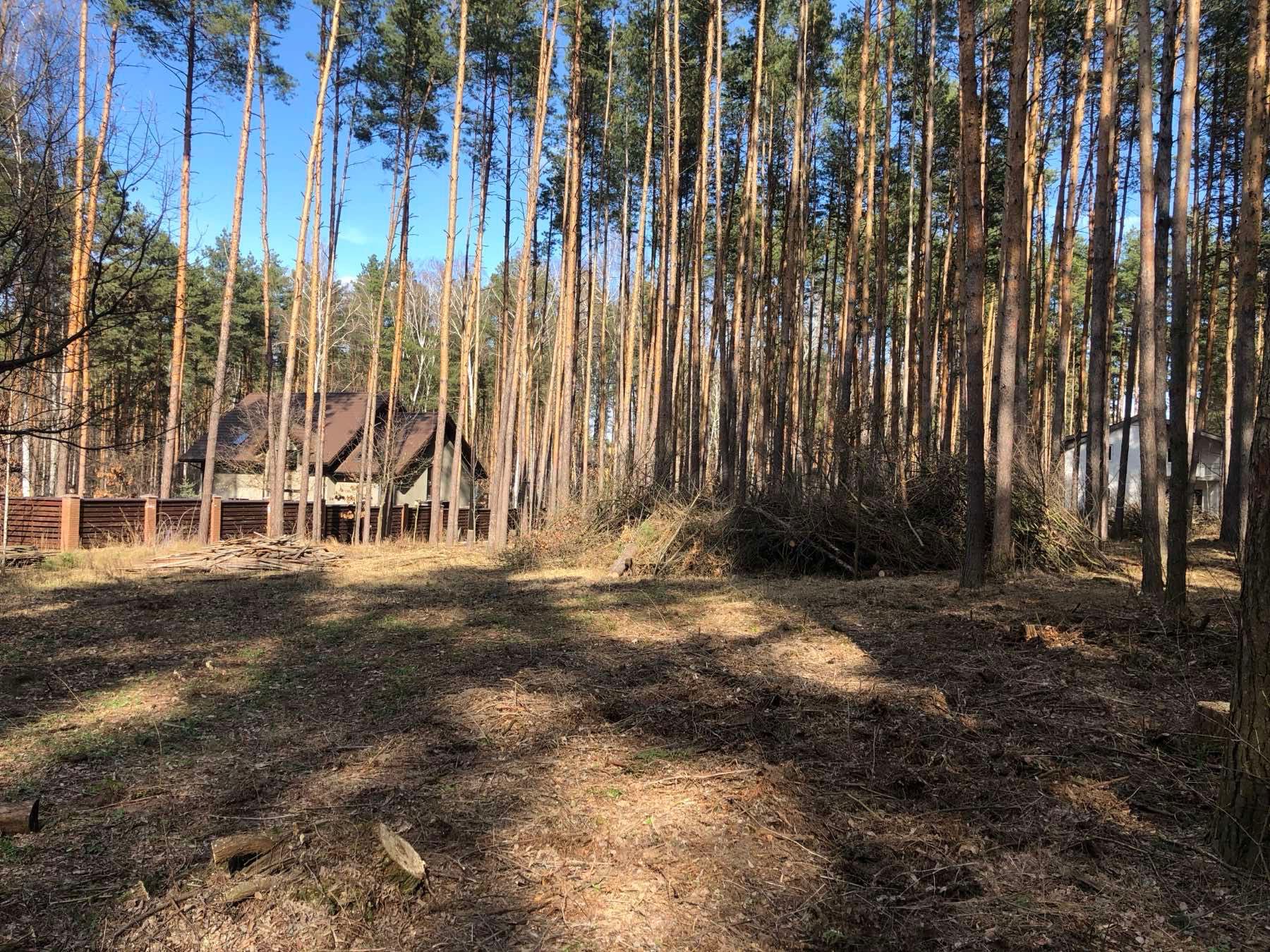 Земельна ділянка біля Київського моря, ліс. СТ МІРАЖ 24 сотки (12+12)