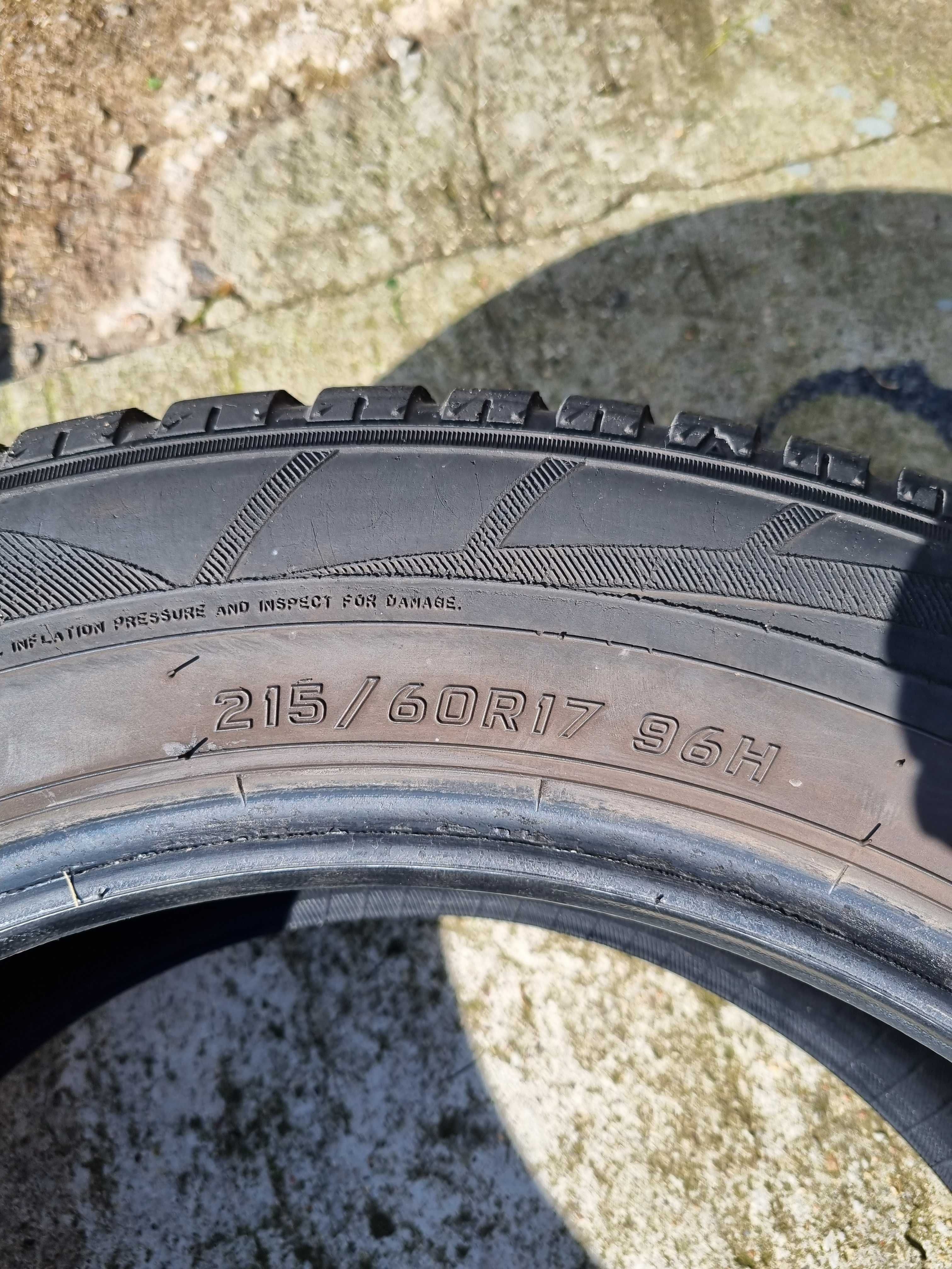 Opony zimowe FALKEN HS449 Eurowinter 215/60 R17 PARA P266