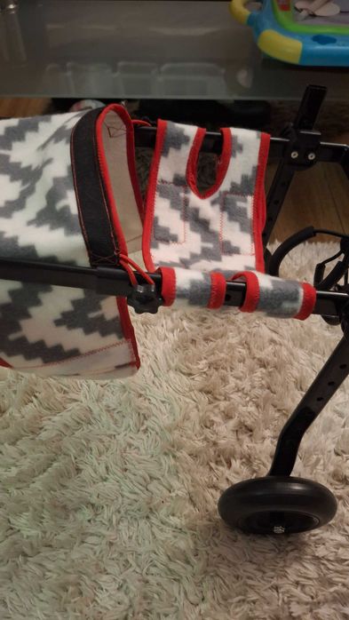 Wozek inwalidzki dla kota