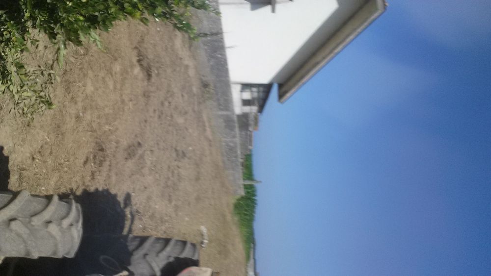 Prestação de Serviços agrícolas/florestais