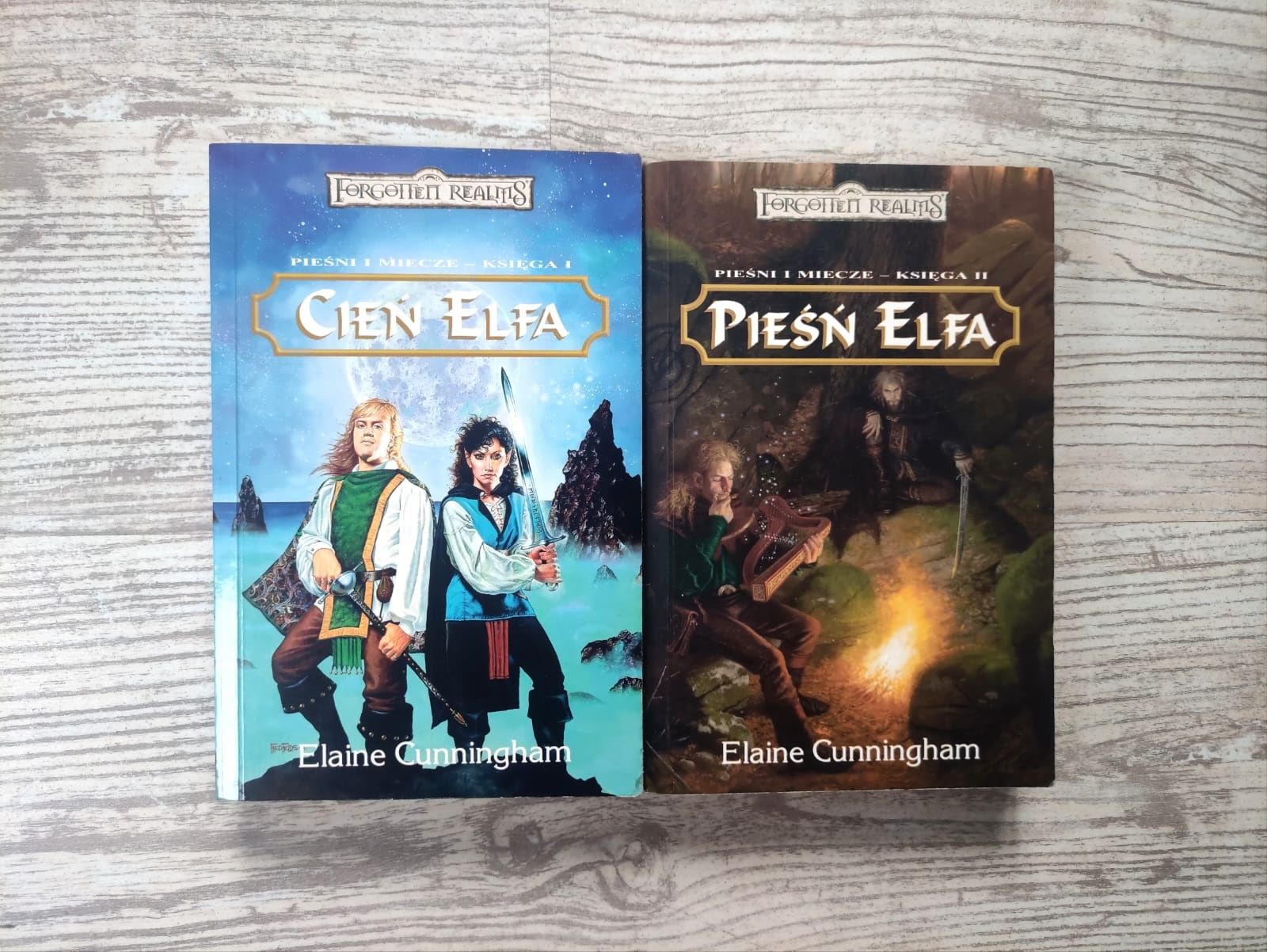 Elaine Cunningham "Pieśni i miecze" tom I i II, "Cień Elfa, Pieś Elfa