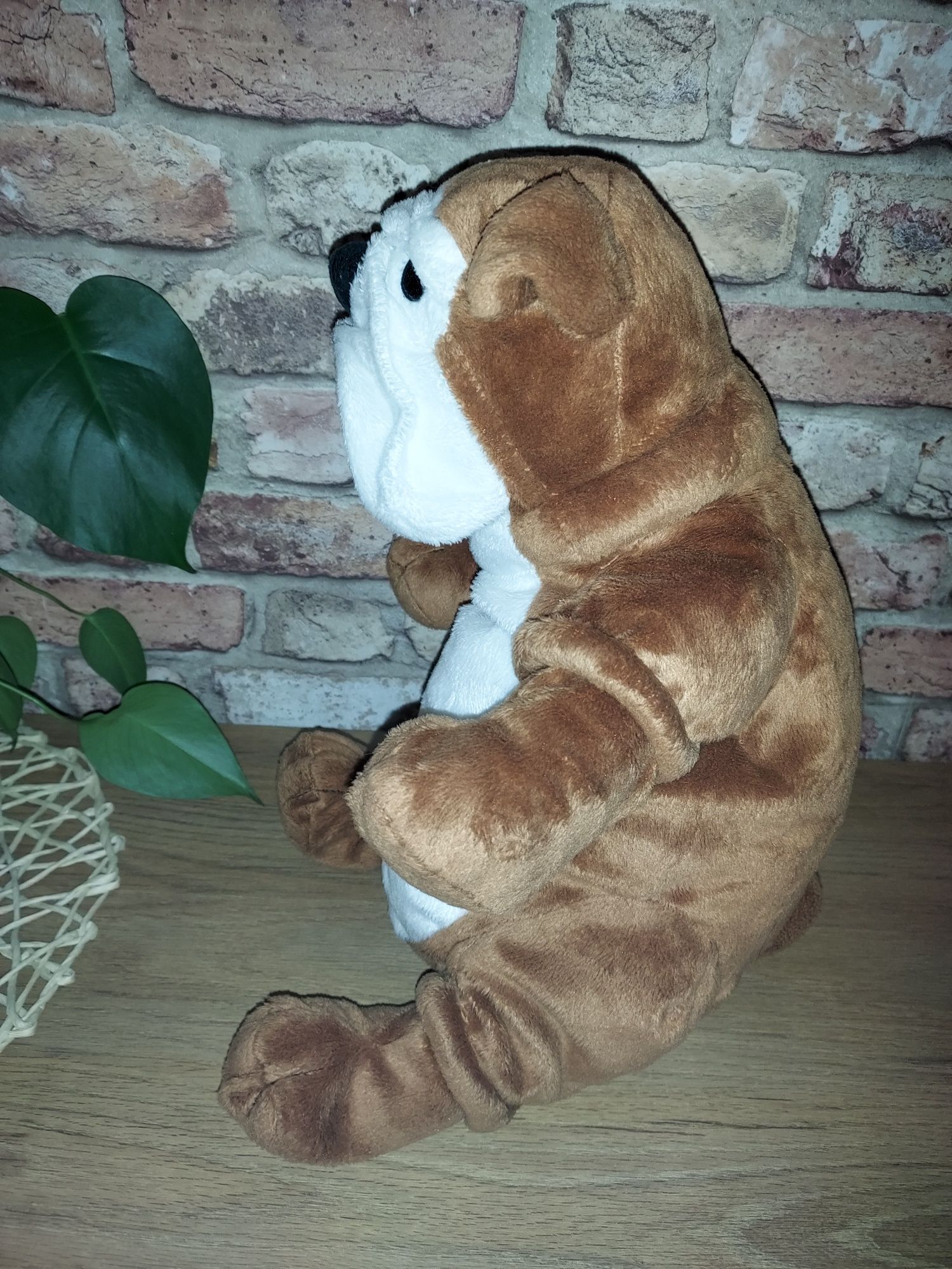 Maskotka duży piesek Bulldog z niedostępnej już kolekcji Ikea Klappa