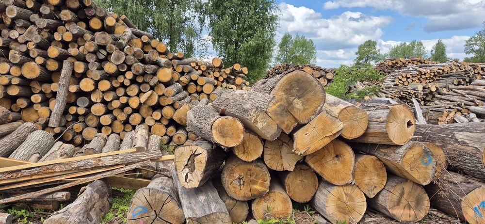 DĄB, Sezonowane Drewno kominkowe, do kominka, do pieca, woj. Łódzkie