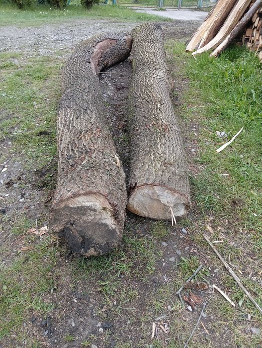 Dąb klocek sprzedam
