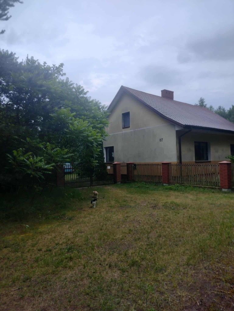 Sprzedam dom z lasem