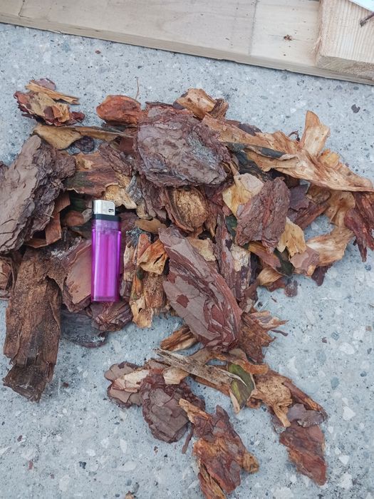 Kora  sosnowa  gruba 80L.