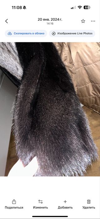 Норка грецька коротка