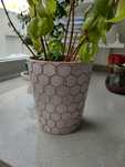 Vaso para plantas