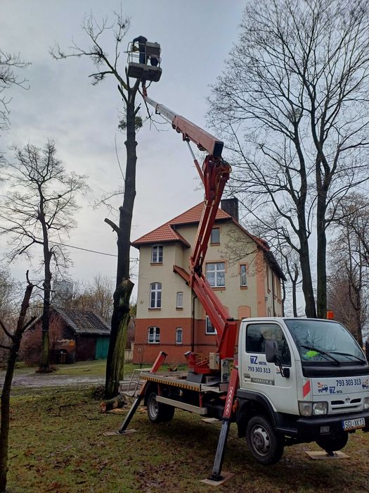 Zwyżka, podnośnik koszowy - usługi, wynajem