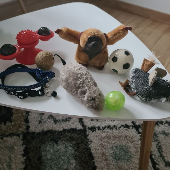 Zabawki dla kotka