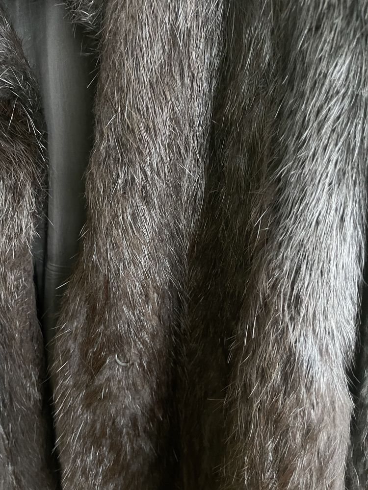 Korzuszek - plaszczyk Nutria czarny