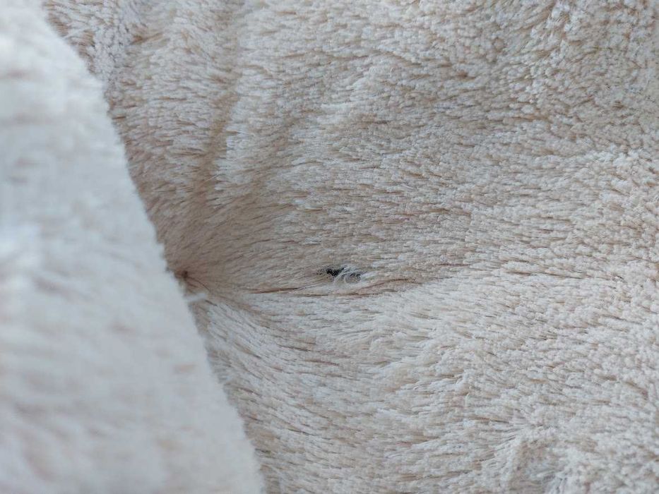 Cama para cães e gatos