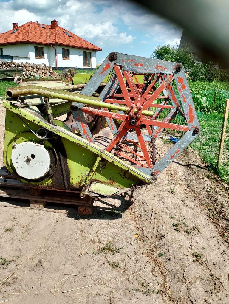 Heder Claas mercator consul