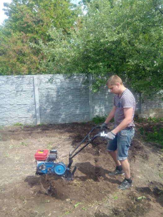 Обрезка, спил деревьев, уход за садом, газоном, растениями.