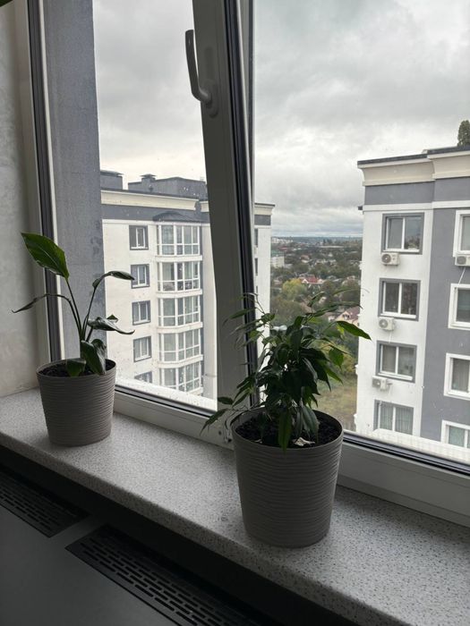 2-кімнатна з кухнею-вітальнею! Гарний ремонт!