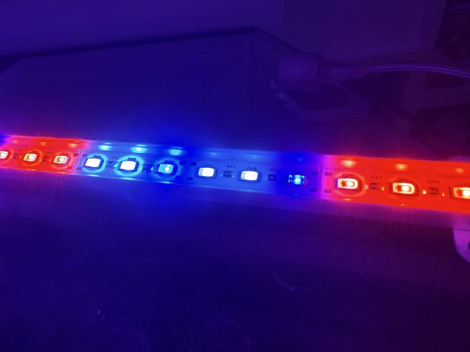 Aqua cubo complecto com peixes e armário