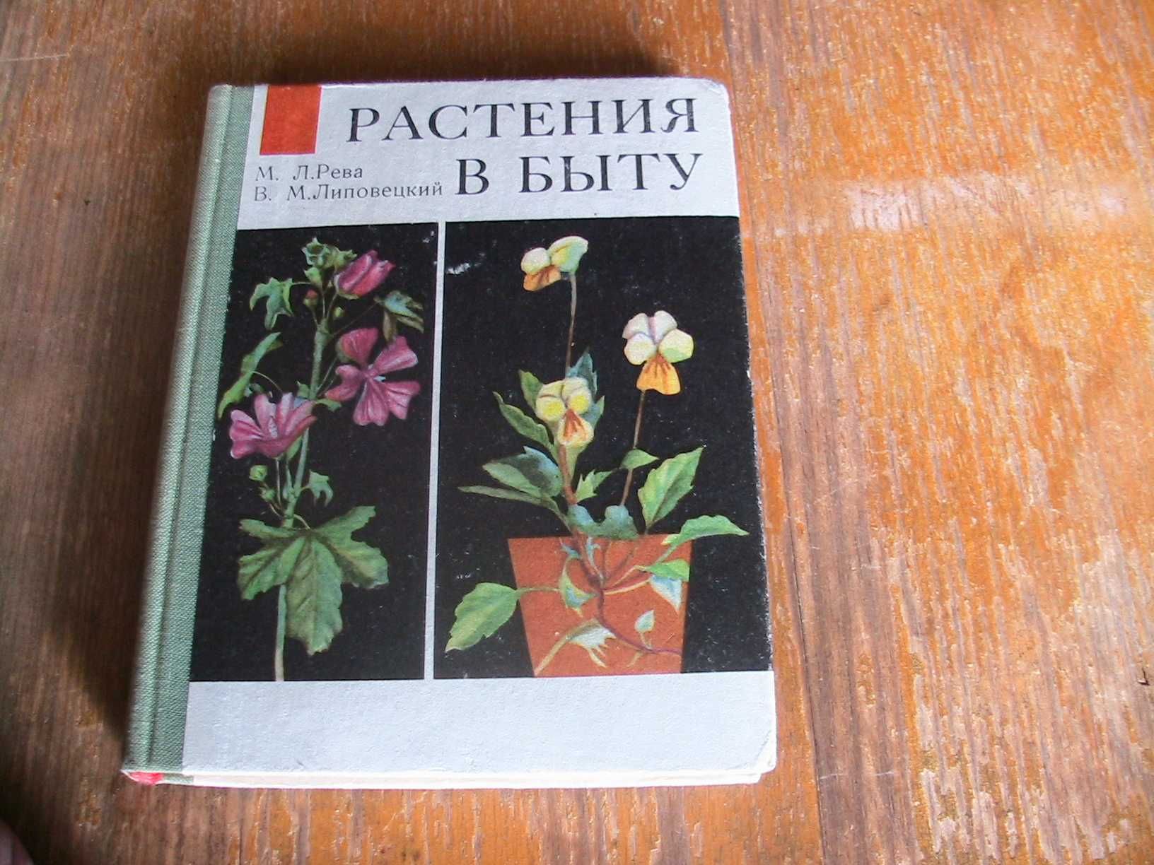 "Растения в быту".  М.Л. Рева, В.М. Липовецкий