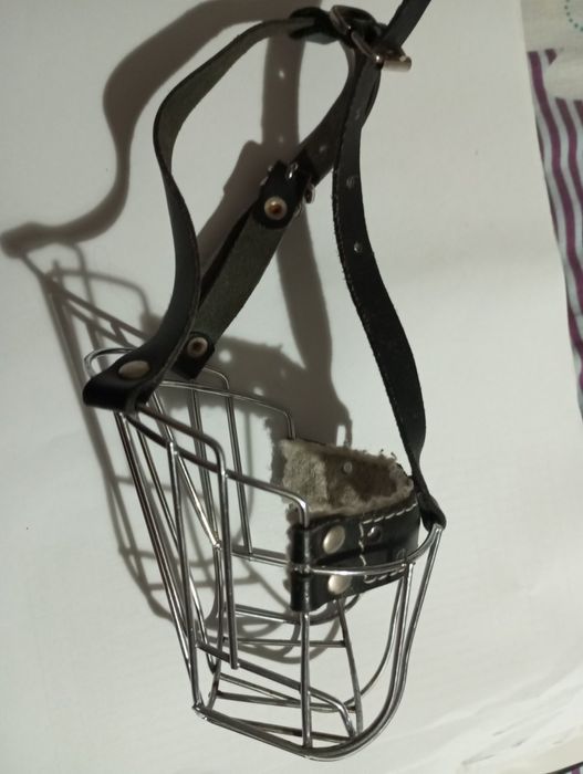 Намордник для маленької породи собак.