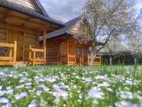 Bieszczady Polańczyk Domki Pokoje Apartamenty