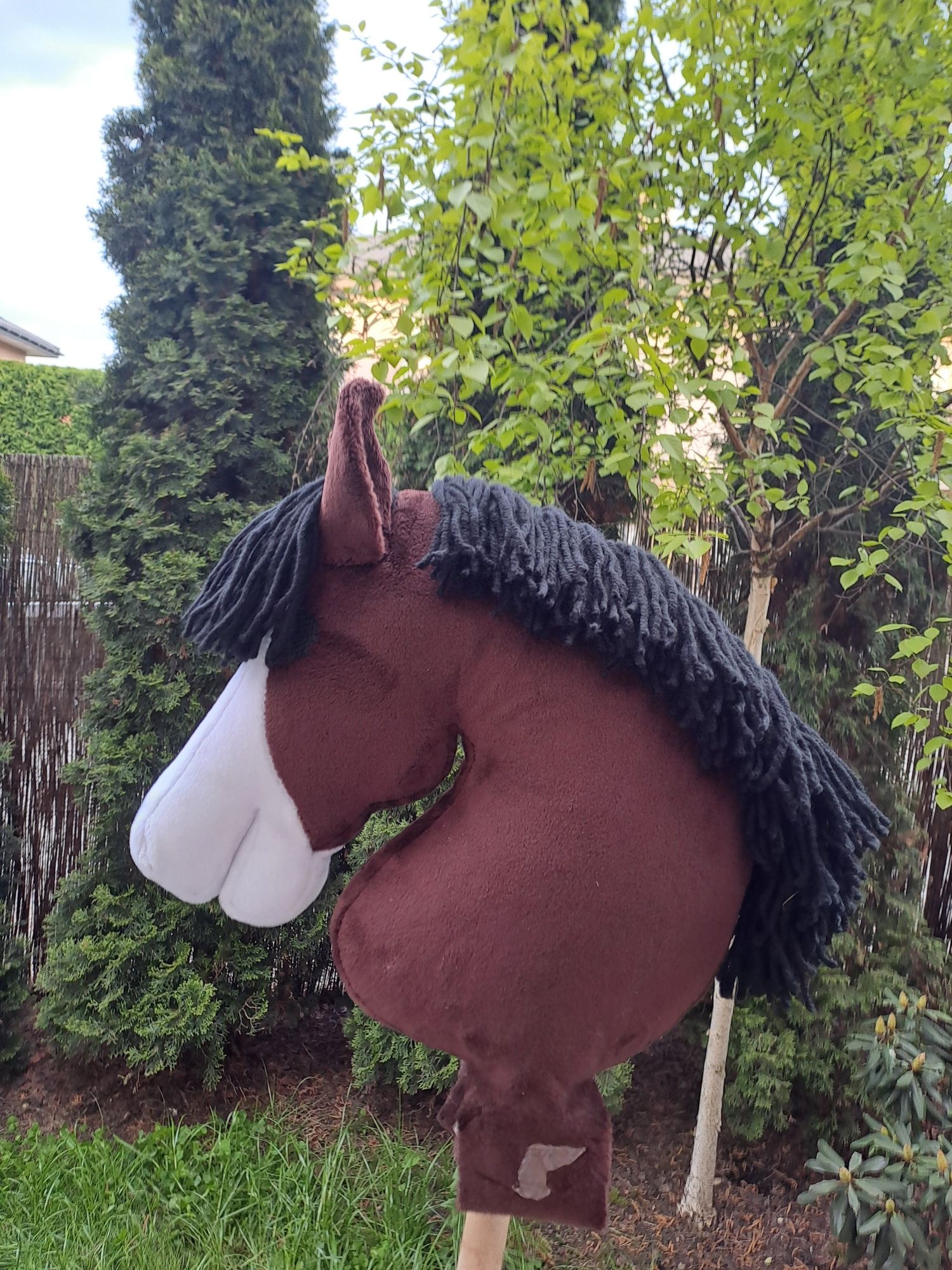 Hobby horse ciemnogniady