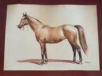 stara sygnowana akwarela koń obraz z koniem