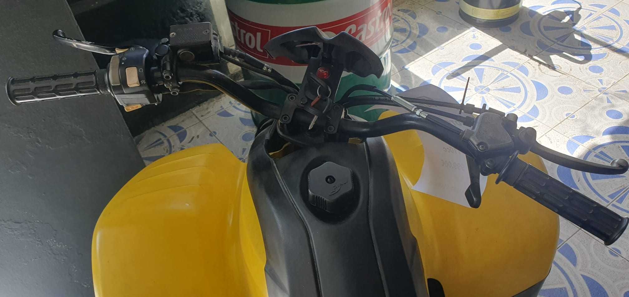 Mini Moto 4 Dinli T-Rex 110cc