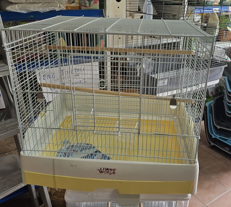 Gaiolas novas em loja