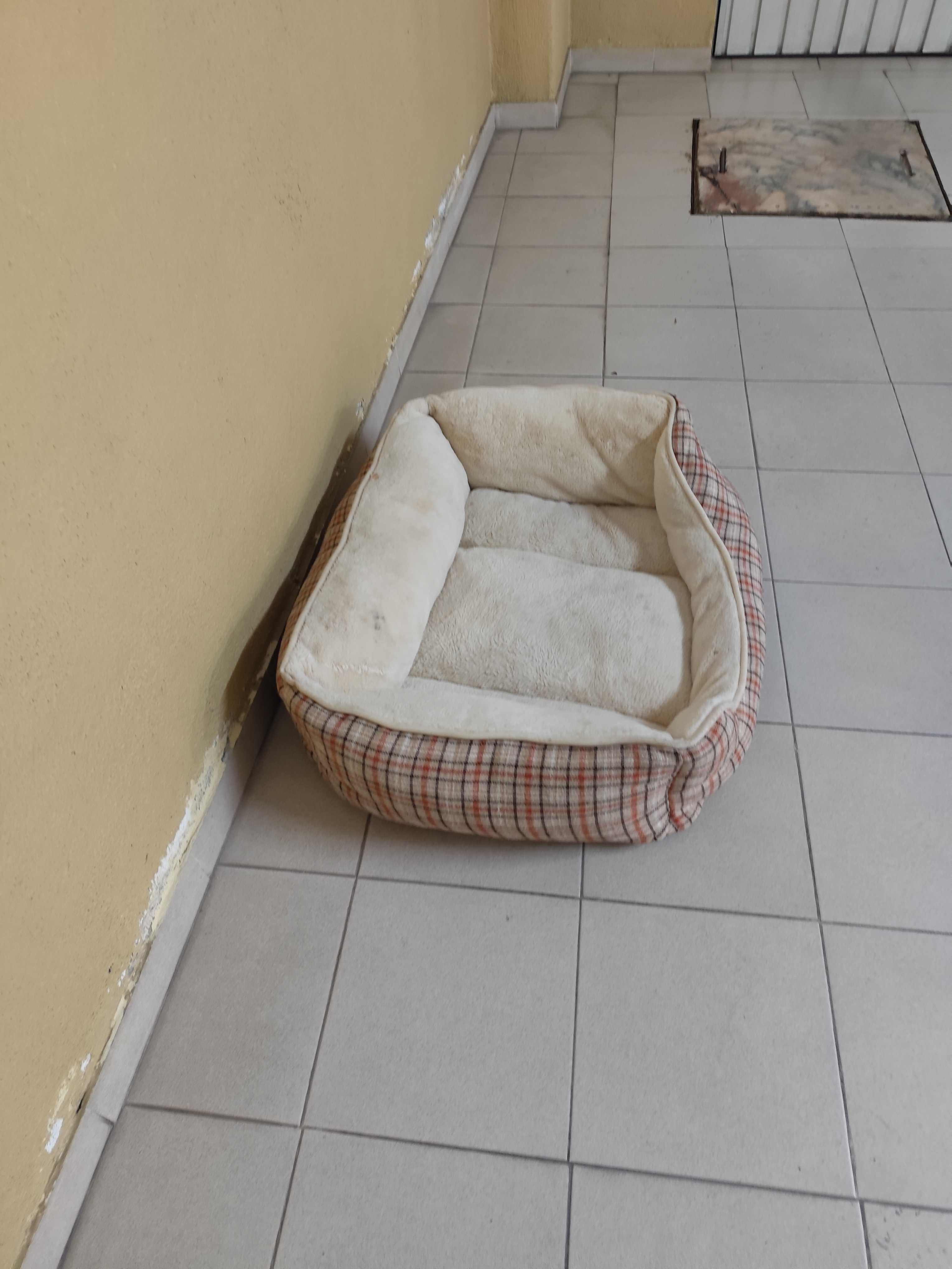 Alcofa para Cão grande