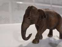 Figurka Schleich. Słoń. Koń biały