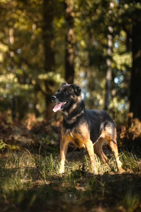 Delikatna Zora czeka na człowieka, który da jej spokój i miłość
