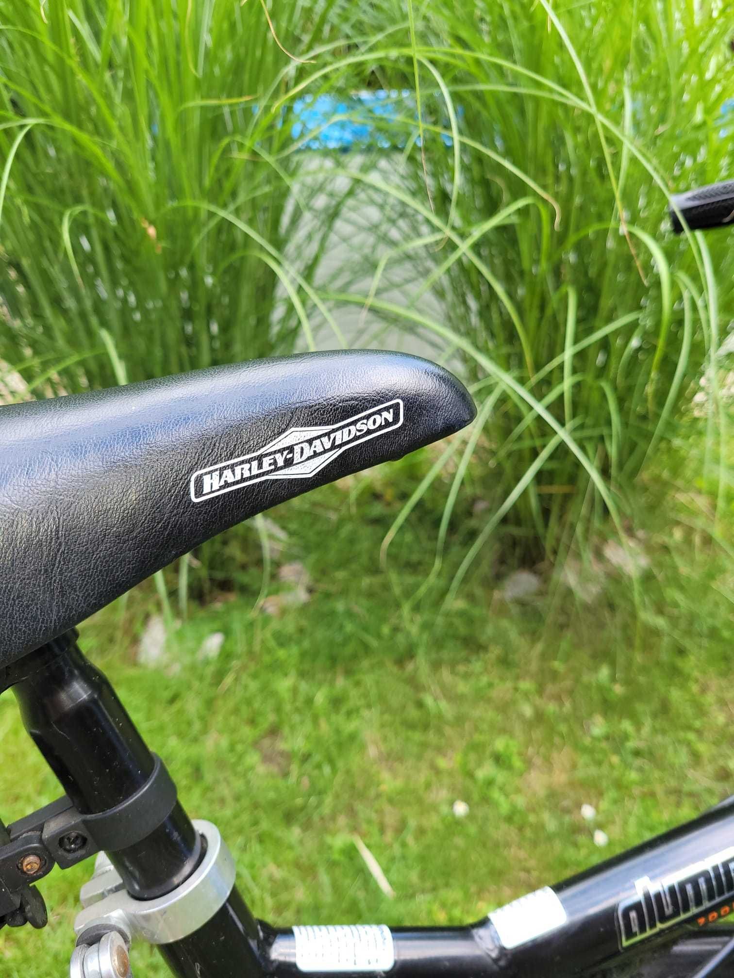 Rower Harley-Davidson all terrain GEOMETRY