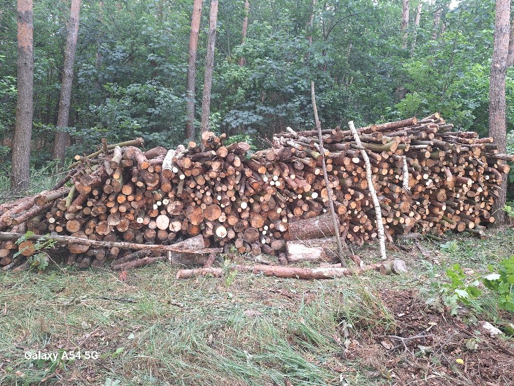 Drewno  drzewo   opałowe  sosna brzoza sucha