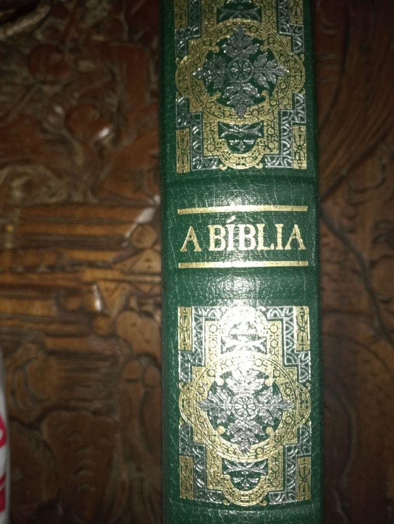 Novo Testamento Gustave Dore Bíblia Pastoral