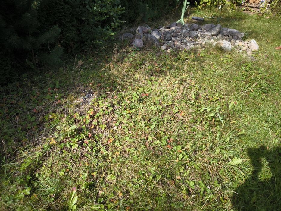 Oddam kamień polny za wywiezienie. Widna Góra / Gowidlino