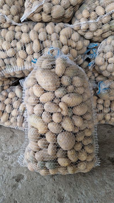 Ziemniaki paszowe odpadowe drobne