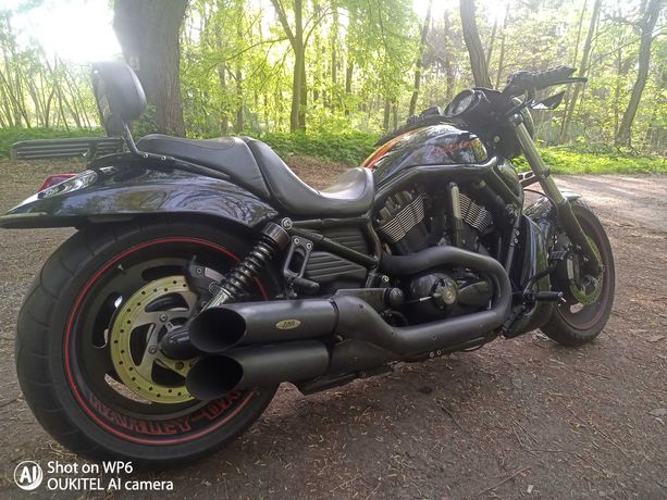 Harley Davidson  night rod  V-rod  vrscdx