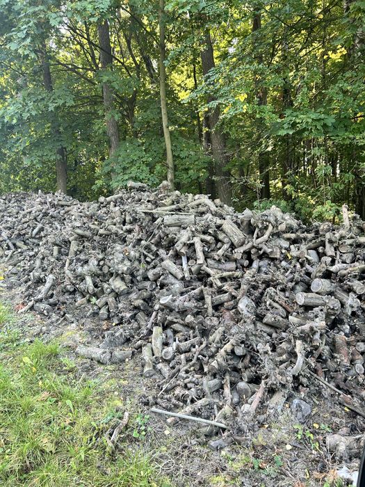 Drewno opałowe jabłoń - pocięte