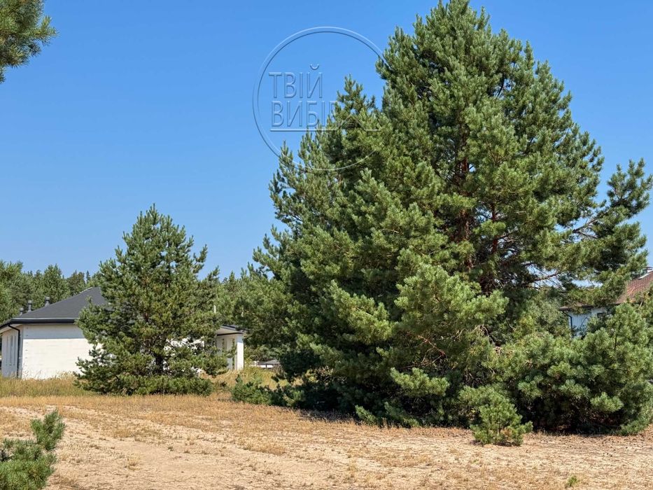 Продаж Ділянки 10 соток Гореничі Світло Ліс