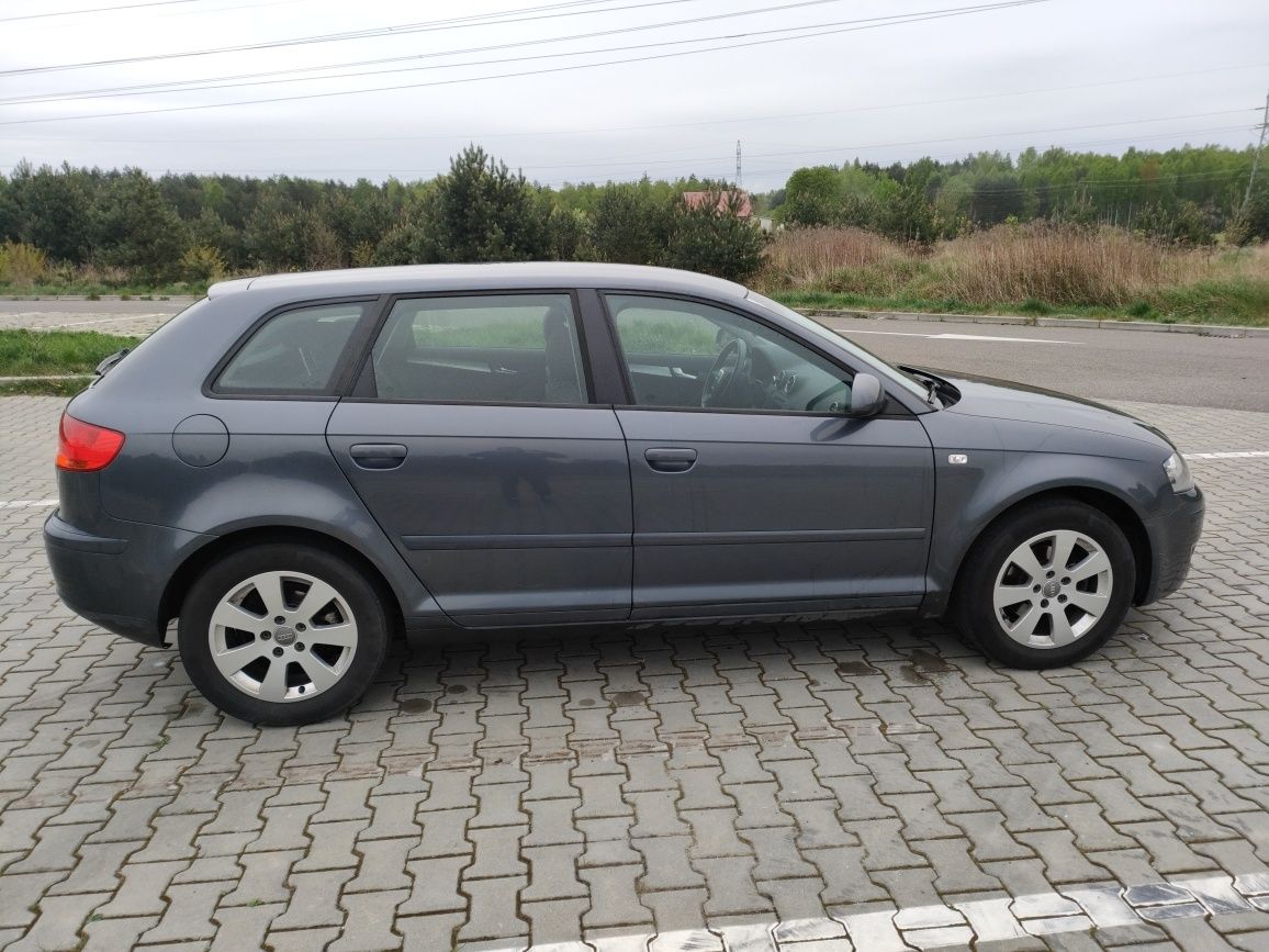 Audi A3 8P 2007  1.6 benzyna