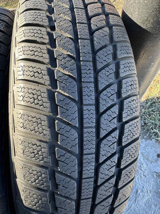 Зимові шини Evergrin 195/70 R14