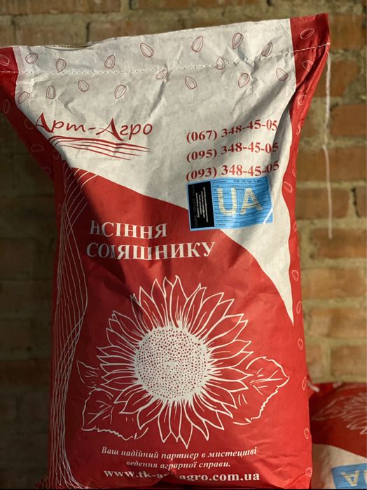 Кукур ВНІС, МАЇС, АртАгро, Євросем, Хотин, Гран 6, Ронін, ВН 6763