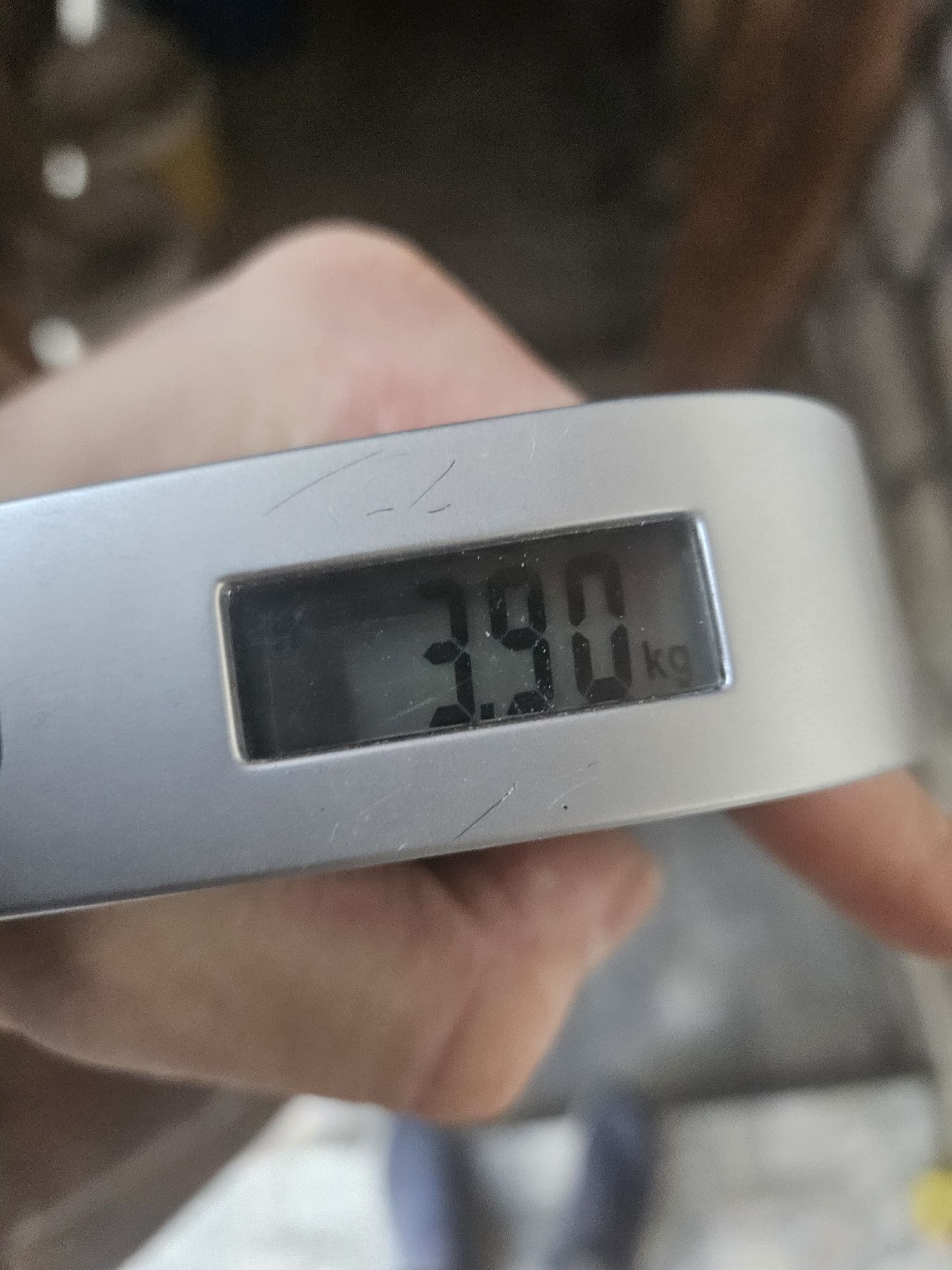 Zrzuty jelenia para 12stak