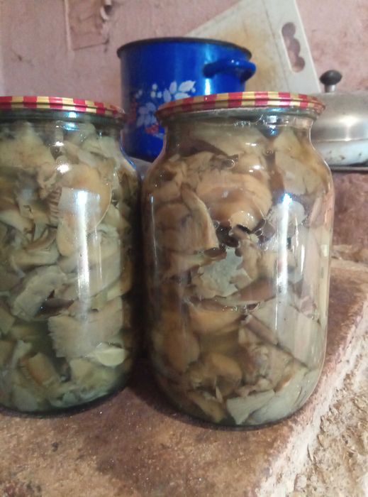 Мариновані гриби