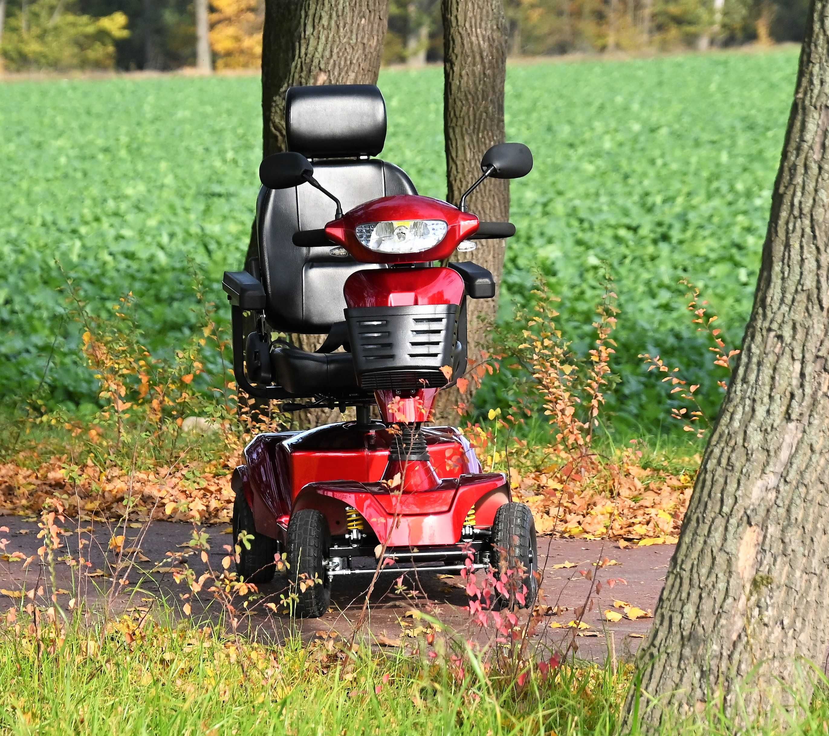 Czterokołowy skuter Wisking 4022