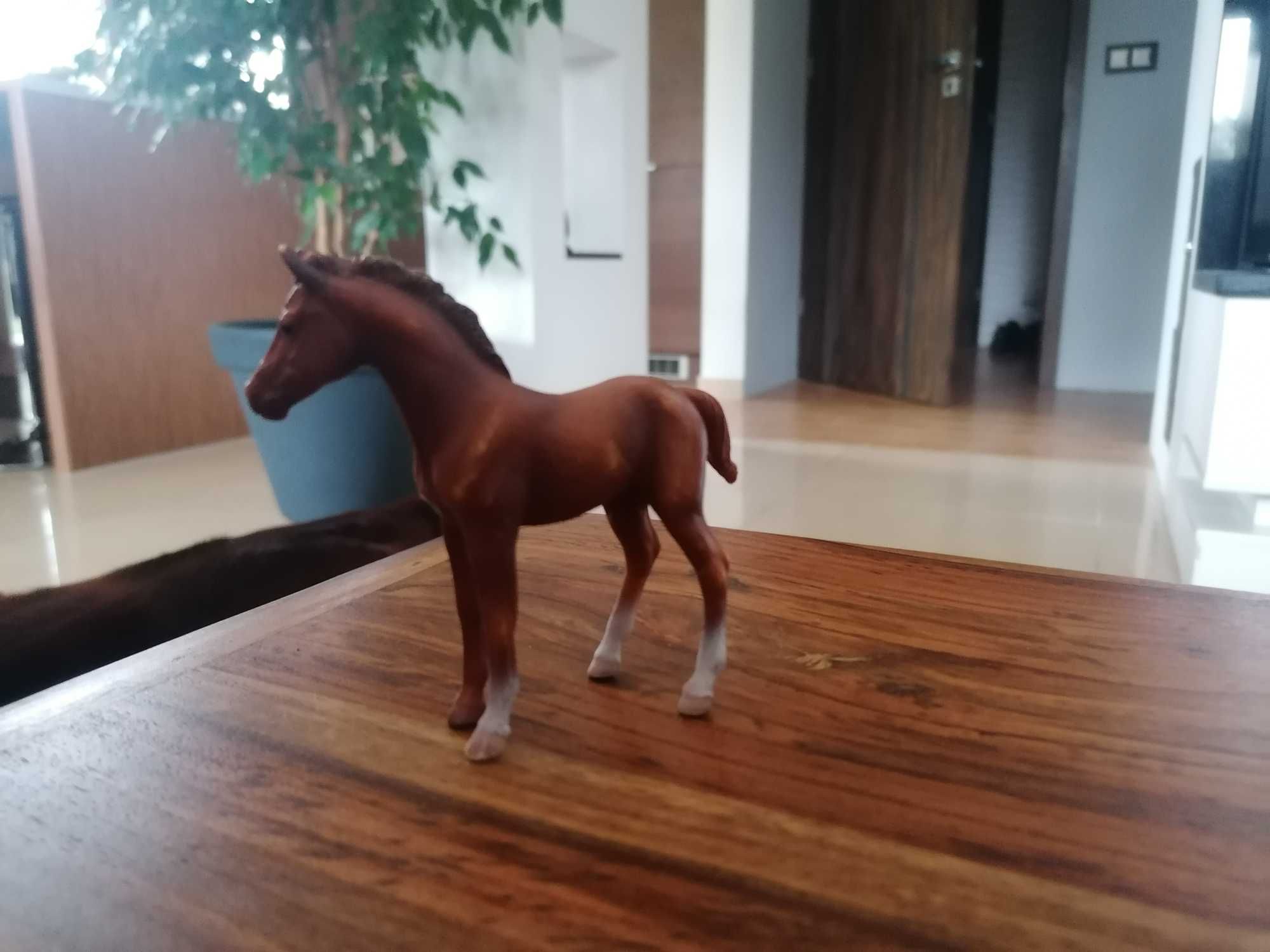 Collecta źrebię Thoroughbred 88671