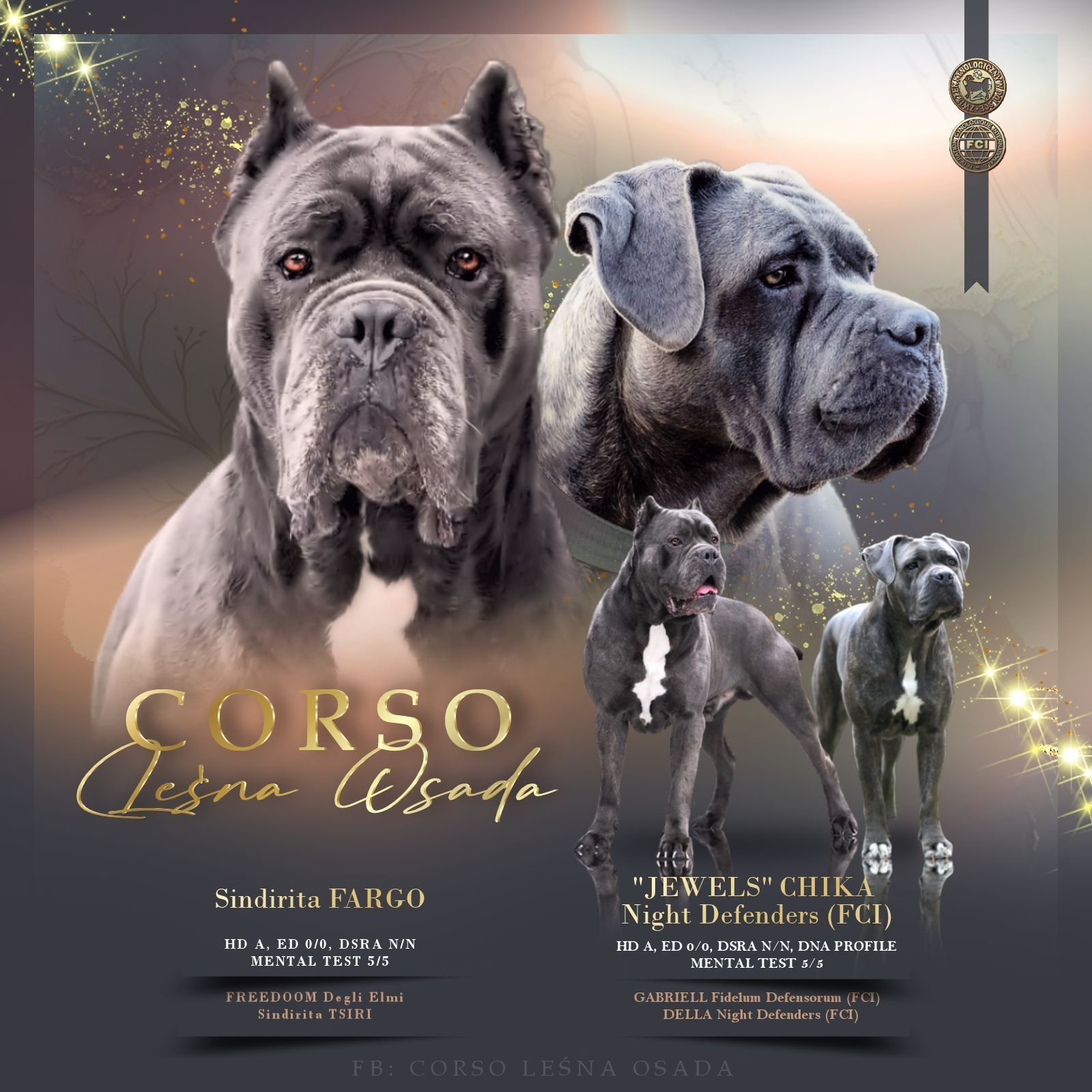 Cane Corso Italiano