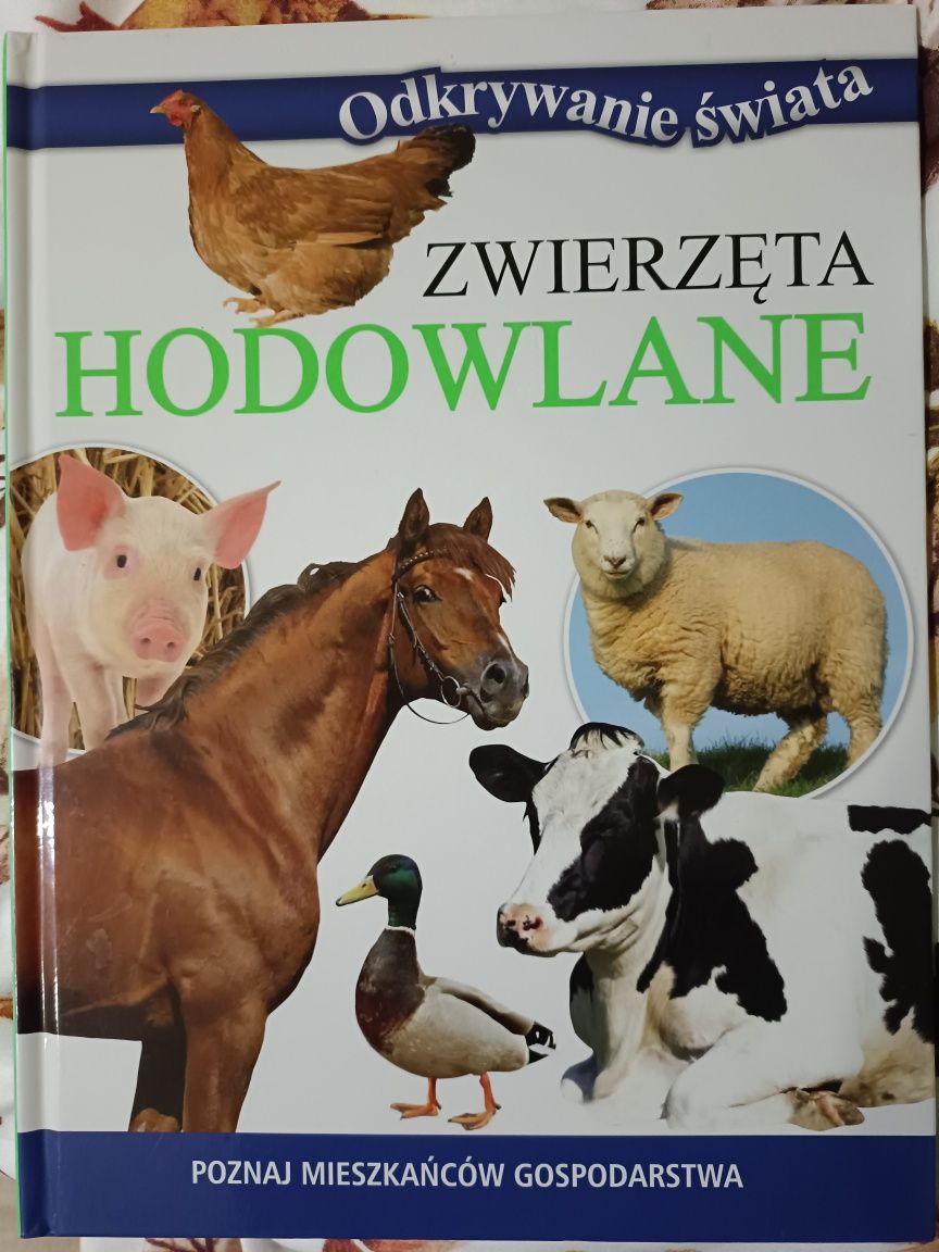 Książki o zwierzętach konie ssaki psy gady, zwierzęta hodowlane