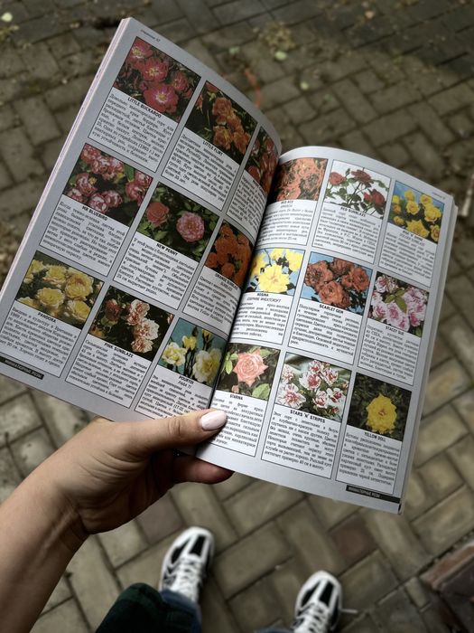 Книга Все о розах
