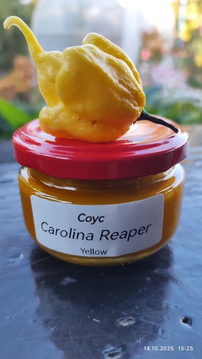 Набір соусів Carolina Reaper 5 шт