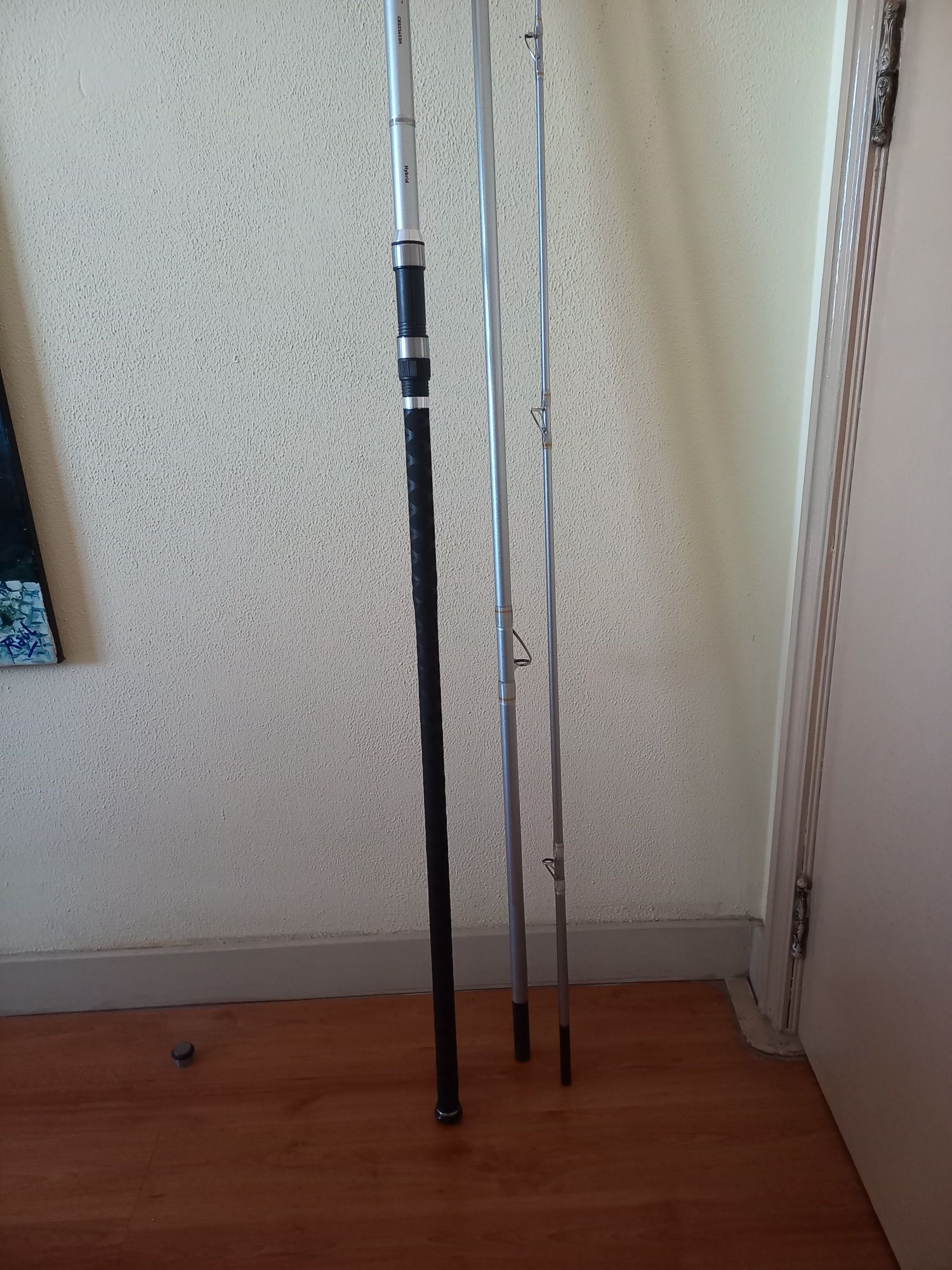Cana de pesca tripartida daiwa 4.50